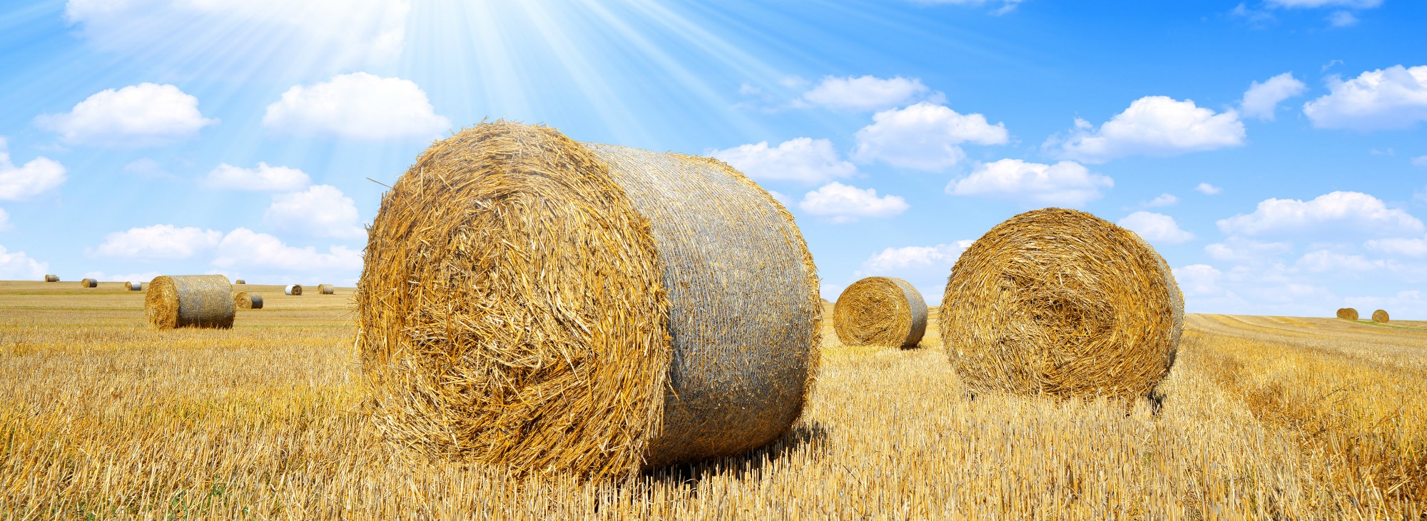 Oral Surgery Kokomo IN, Oral Surgeon